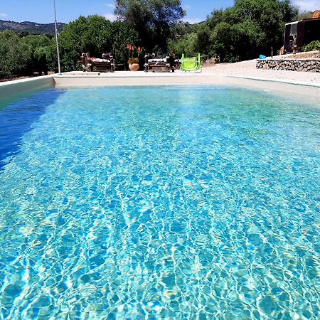Cabana Rustica En Un Rancho Con Caballos, Prado Del Rey, Andalucia 外观 照片