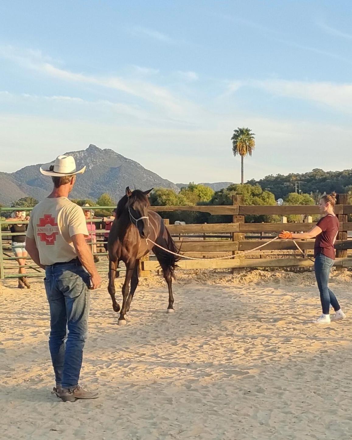 Cabana Rustica En Un Rancho Con Caballos, Prado Del Rey, Andalucia 外观 照片