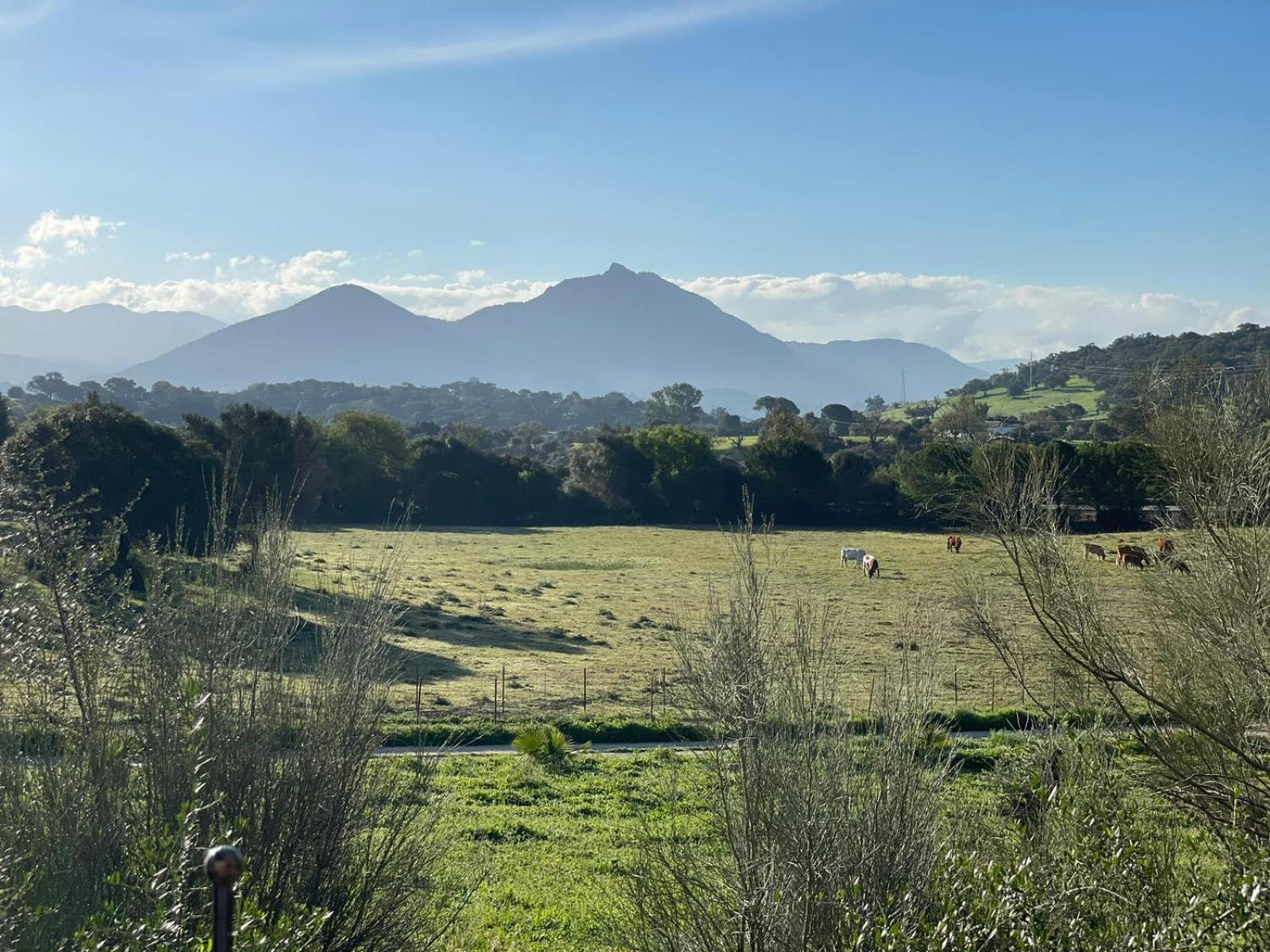 Cabana Rustica En Un Rancho Con Caballos, Prado Del Rey, Andalucia 外观 照片
