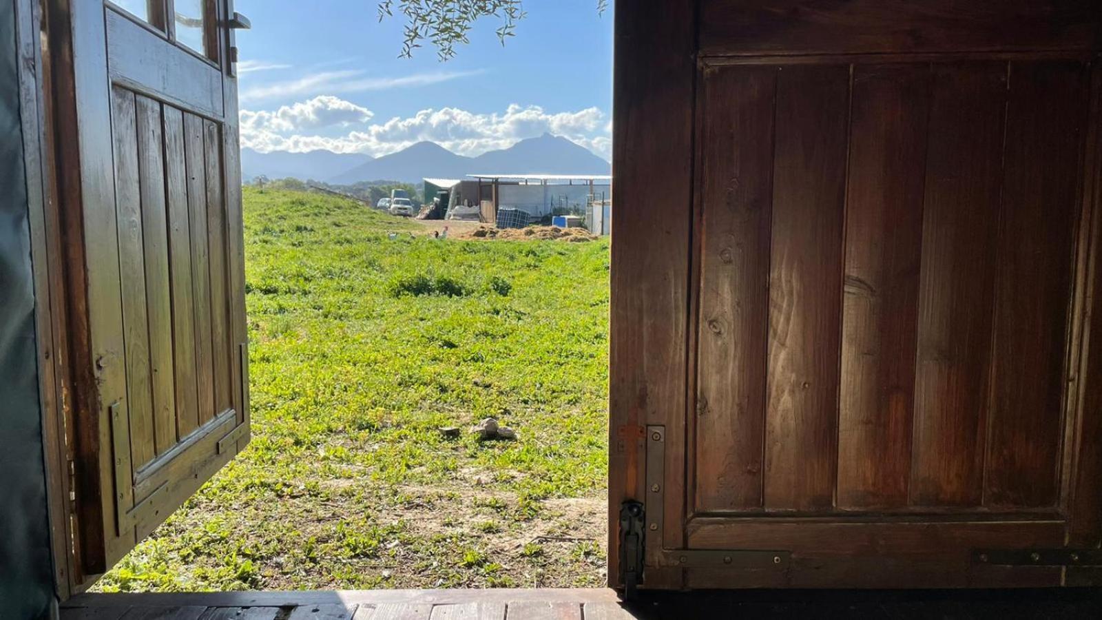 Cabana Rustica En Un Rancho Con Caballos, Prado Del Rey, Andalucia 外观 照片