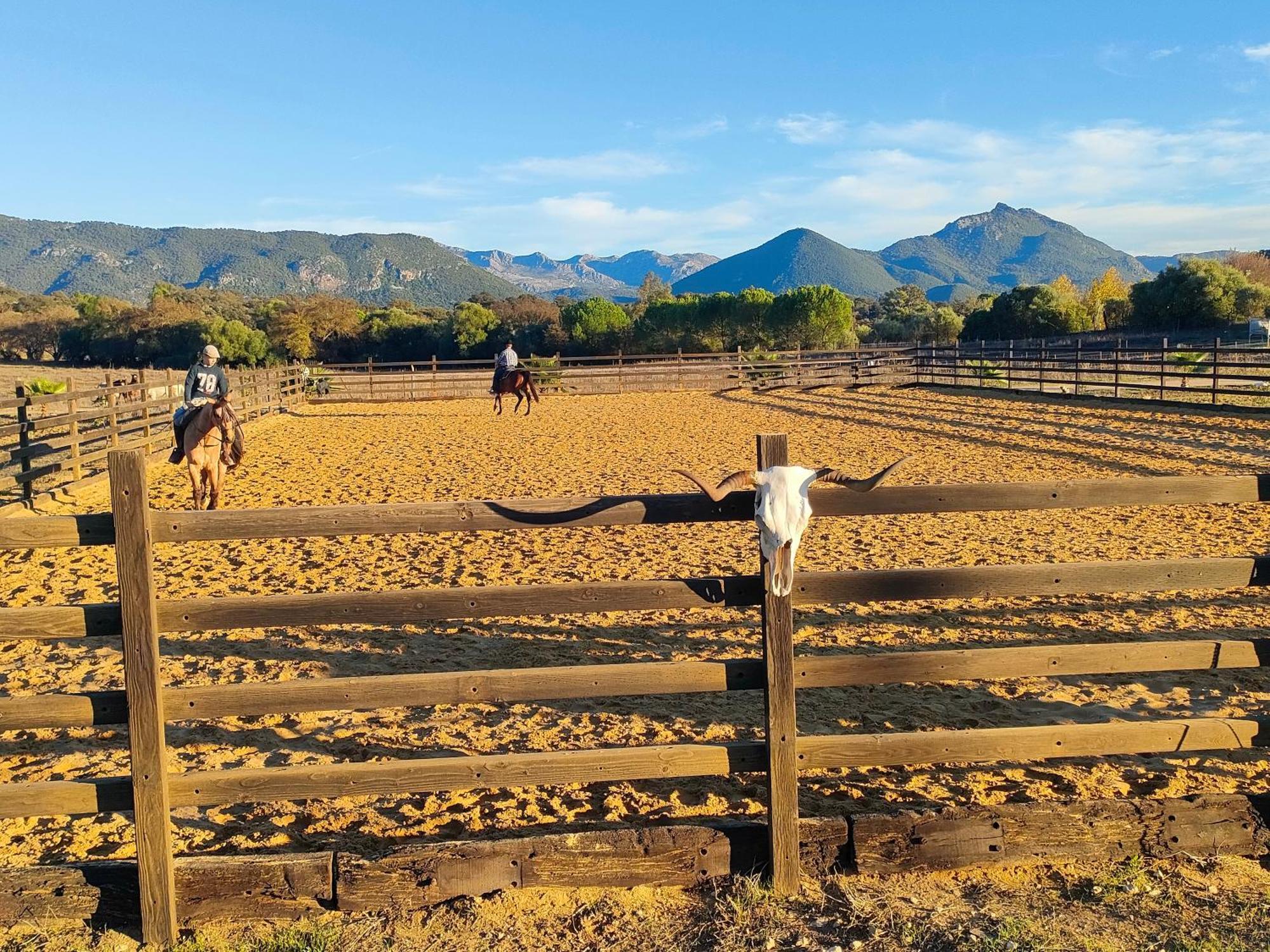 Cabana Rustica En Un Rancho Con Caballos, Prado Del Rey, Andalucia 外观 照片