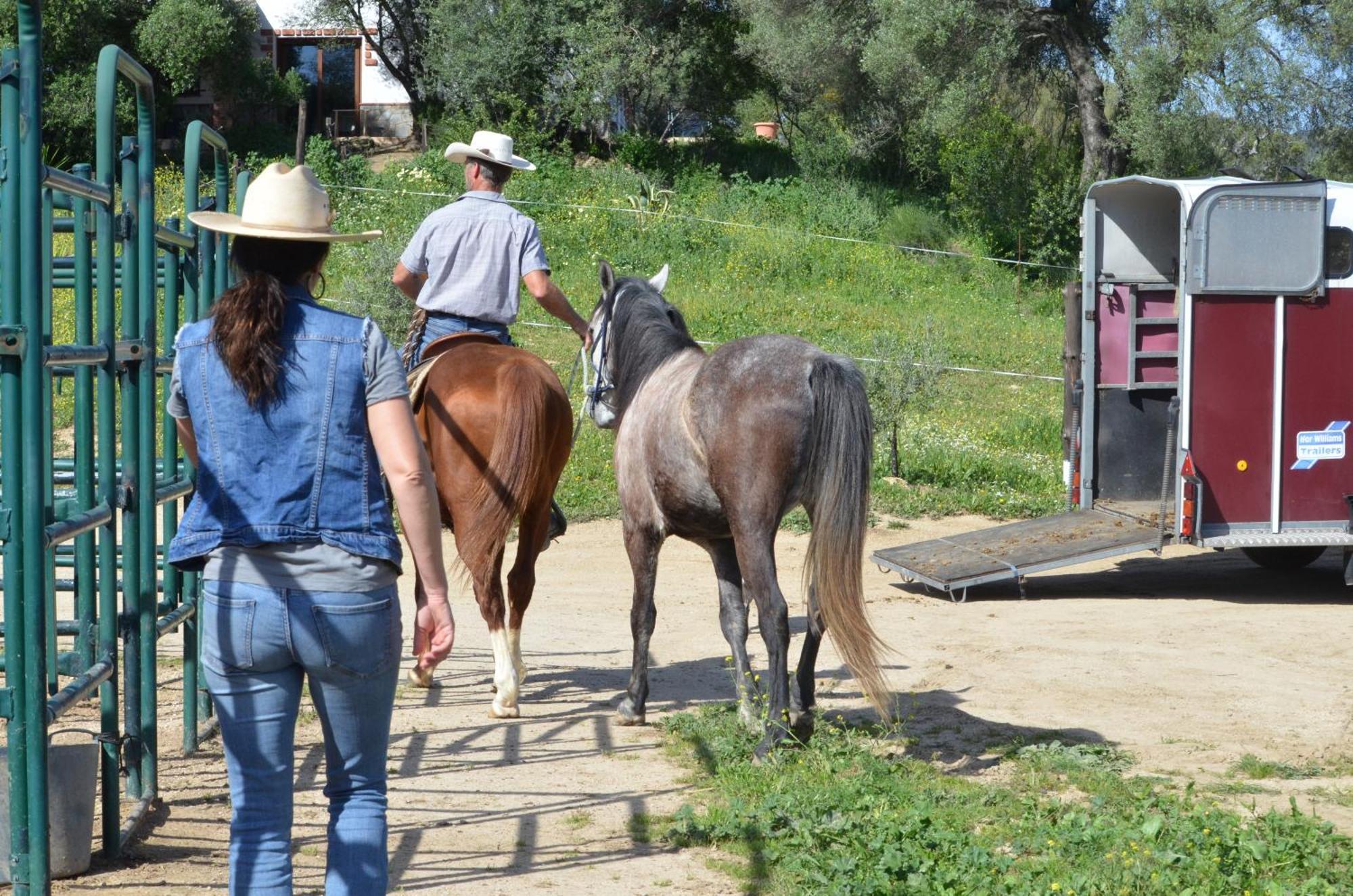 Cabana Rustica En Un Rancho Con Caballos, Prado Del Rey, Andalucia 外观 照片